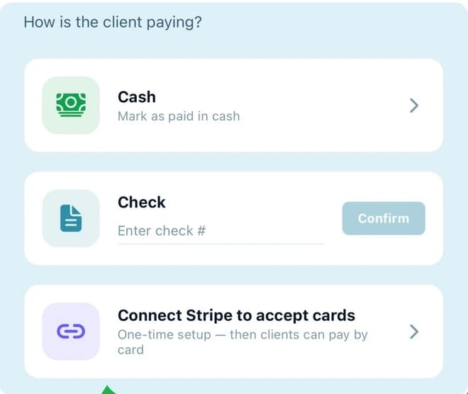 The biddl payment screen offering cash, check, and Stripe card payment.